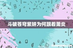 斗破苍穹紫妍为何跟着萧炎
