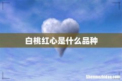 白桃红心是什么品种