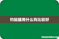钓鲢鳙用什么钩比较好