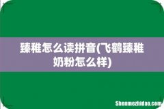 飞鹤臻稚奶粉怎么样 臻稚怎么读拼音
