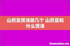 山药豆煲汤放几个 山药豆和什么煲汤