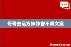 哥哥去远方妹妹舍不得文案