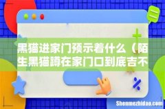 陌生黑猫蹲在家门口到底吉不吉利 黑猫进家门预示着什么