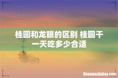 桂圆和龙眼的区别 桂圆干一天吃多少合适