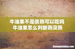 牛油果不是很熟可以吃吗 牛油果怎么判断熟没熟