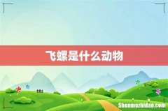 飞螺是什么动物