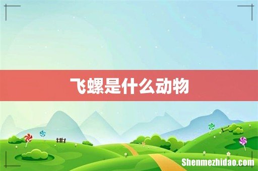 飞螺是什么动物