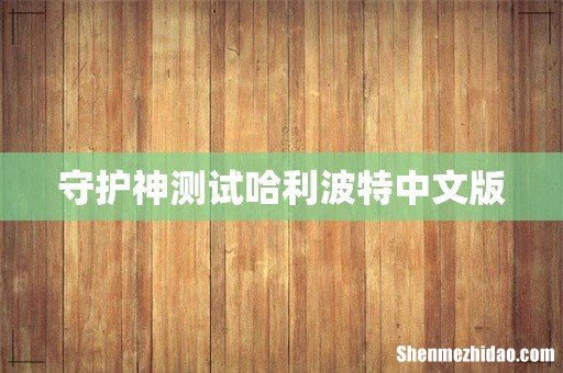 守护神测试哈利波特中文版