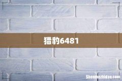 猎豹6481