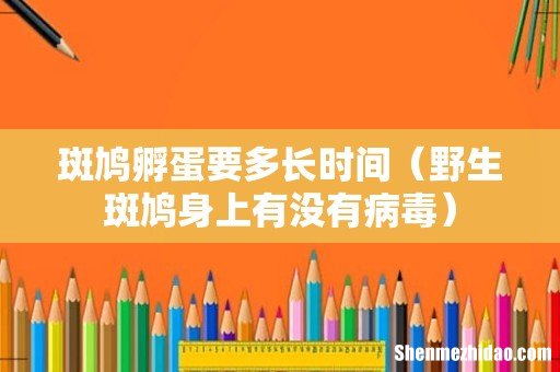 野生斑鸠身上有没有病毒 斑鸠孵蛋要多长时间