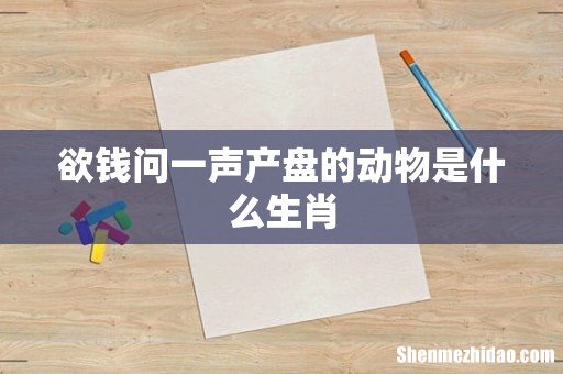 欲钱问一声产盘的动物是什么生肖