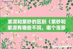 紫砂和紫泥有哪些不同，哪个泡茶好 紫泥和紫砂的区别