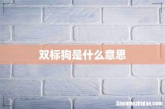 双标狗是什么意思