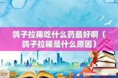 鸽子拉稀是什么原因 鸽子拉稀吃什么药最好啊