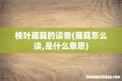 葳蕤怎么读,是什么意思 枝叶葳蕤的读音