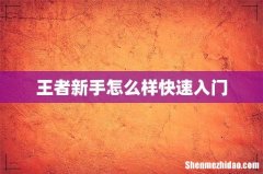王者新手怎么样快速入门
