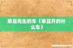 憨豆开的什么车 憨豆先生的车