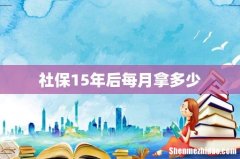 社保15年后每月拿多少