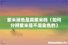 如何分辨紫米是不是染色的 紫米掉色是真紫米吗