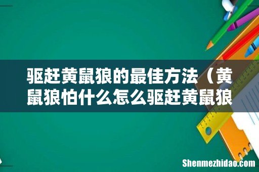 黄鼠狼怕什么怎么驱赶黄鼠狼 驱赶黄鼠狼的最佳方法