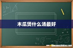 木瓜煲什么汤最好