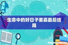 生命中的好日子柔嘉最后结局