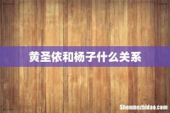 黄圣依和杨子什么关系