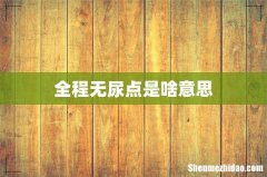 全程无尿点是啥意思