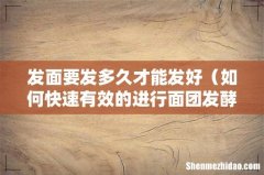如何快速有效的进行面团发酵 发面要发多久才能发好