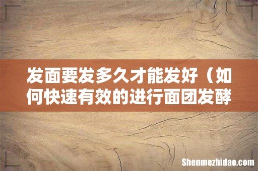 如何快速有效的进行面团发酵 发面要发多久才能发好