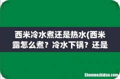 西米露怎么煮？冷水下锅？还是热水？煮多久？煮之前要不要洗呀！ 西米冷水煮还是热水