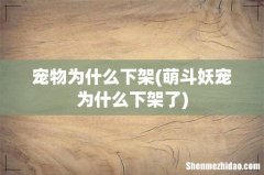 萌斗妖宠为什么下架了 宠物为什么下架