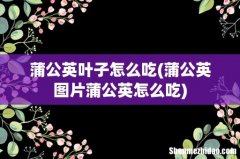 蒲公英图片蒲公英怎么吃 蒲公英叶子怎么吃