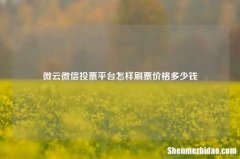 微云微信投票平台怎样刷票价格多少钱