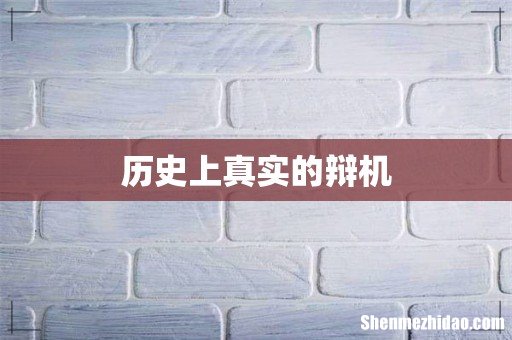 历史上真实的辩机