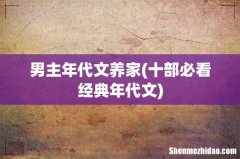 十部必看经典年代文 男主年代文养家