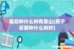 房子后面种什么树好 屋后种什么树有靠山