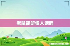 老鼠能听懂人话吗