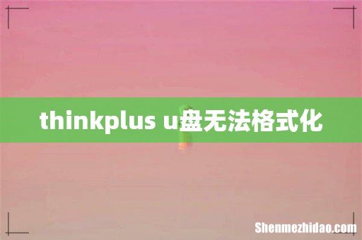 thinkplus u盘无法格式化