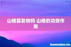 山楂算发物吗 山楂的功效作用
