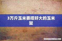 3万斤玉米要搭好大的玉米架