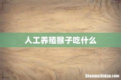 人工养殖猴子吃什么