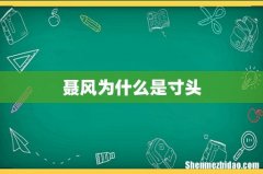 聂风为什么是寸头