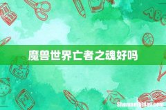 魔兽世界亡者之魂好吗