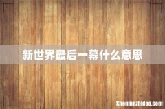 新世界最后一幕什么意思
