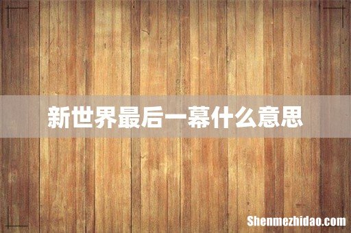 新世界最后一幕什么意思