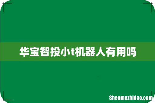 华宝智投小t机器人有用吗