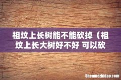 祖坟上长大树好不好 可以砍掉吗 祖坟上长树能不能砍掉