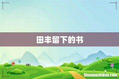 田丰留下的书