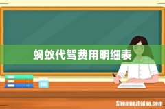蚂蚁代驾费用明细表